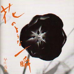 yoshio_5.jpg