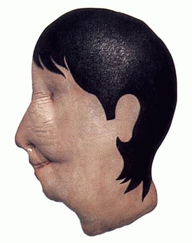 9290227_47.jpg