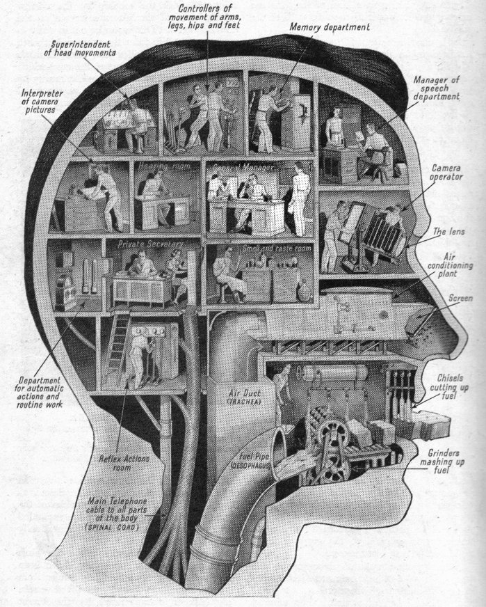 The Miracle of Life edited by Harold Wheeler 1941 Laputan Logic a.jpg