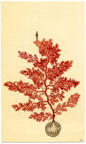 Untitled-1.jpg
