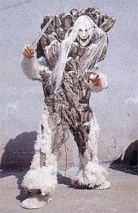 shinjin7.jpg