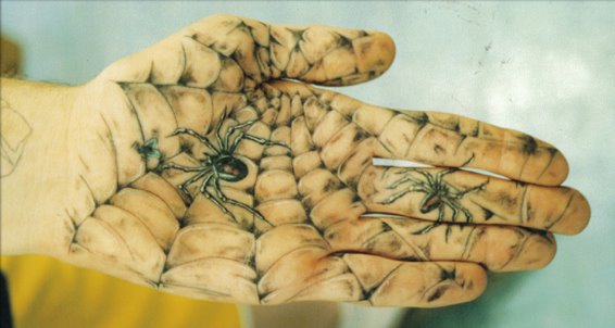 spiderhand-723550.jpg